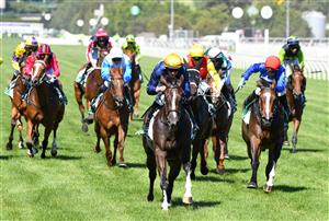 MELBOURNE, AUSTRALIA - JANUARY 09: Damian Lane riding Zesty Belle wins race 5, the Tab Long May We Play Sprint, during Melbourne Racing at Flemington Racecourse on January 09, 2021 in Melbourne, Australia. (Photo by Vince Caligiuri/Getty Images)