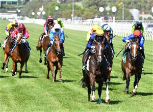 MELBOURNE, AUSTRALIA - JANUARY 09: Damian Lane riding Zesty Belle wins race 5, the Tab Long May We Play Sprint, during Melbourne Racing at Flemington Racecourse on January 09, 2021 in Melbourne, Australia. (Photo by Vince Caligiuri/Getty Images)