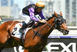 MELBOURNE, AUSTRALIA - JANUARY 09: Damien Oliver riding Milton Park wins Race 2, the The Mumm Royale, during Melbourne Racing at Flemington Racecourse on January 09, 2021 in Melbourne, Australia. (Photo by Vince Caligiuri/Getty Images)