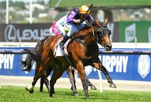MELBOURNE, AUSTRALIA - JANUARY 09: Damien Oliver riding Milton Park wins Race 2, the The Mumm Royale, during Melbourne Racing at Flemington Racecourse on January 09, 2021 in Melbourne, Australia. (Photo by Vince Caligiuri/Getty Images)