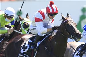 SYDNEY, AUSTRALIA - JANUARY 09: Kerrin McEvoy on All Time Legend wins race 4 the Agency Real Estate Handicap during Sydney Racing at Royal Randwick Racecourse on January 09, 2021 in Sydney, Australia. (Photo by Mark Evans/Getty Images)