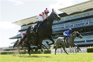 SYDNEY, AUSTRALIA - JANUARY 09: Kerrin McEvoy on All Time Legend wins race 4 the Agency Real Estate Handicap during Sydney Racing at Royal Randwick Racecourse on January 09, 2021 in Sydney, Australia. (Photo by Mark Evans/Getty Images)