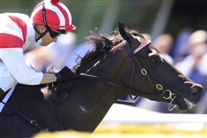 SYDNEY, AUSTRALIA - JANUARY 09: Kerrin McEvoy on All Time Legend wins race 4 the Agency Real Estate Handicap during Sydney Racing at Royal Randwick Racecourse on January 09, 2021 in Sydney, Australia. (Photo by Mark Evans/Getty Images)