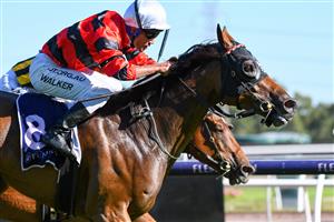 MELBOURNE, AUSTRALIA - JANUARY 09: Michael Walker riding Never Again wins Race 7, the Chester Manifold Stakes, during Melbourne Racing at Flemington Racecourse on January 09, 2021 in Melbourne, Australia. (Photo by Vince Caligiuri/Getty Images)