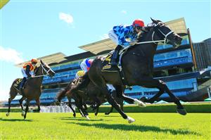 SYDNEY, AUSTRALIA - JANUARY 09: Tommy Berry on Zing wins race 3 the Schweppes Handicap during Sydney Racing at Royal Randwick Racecourse on January 09, 2021 in Sydney, Australia. (Photo by Mark Evans/Getty Images)