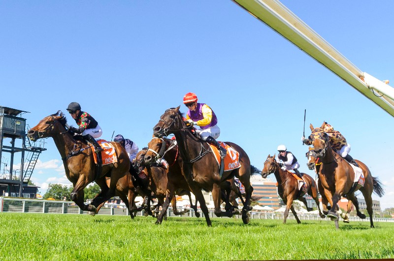 Caulfield Betting Tips