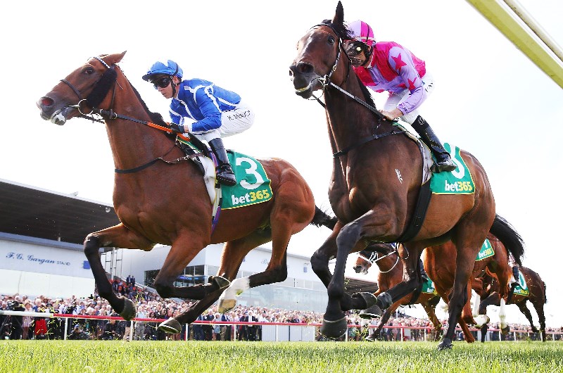 Geelong Betting Tips