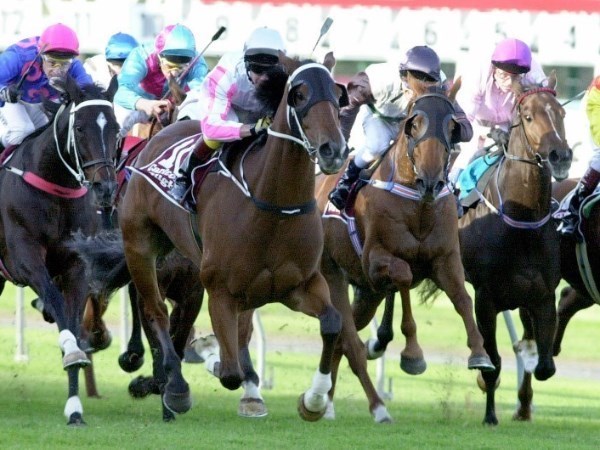 Pinjarra Racing Tips for 08.02.2020