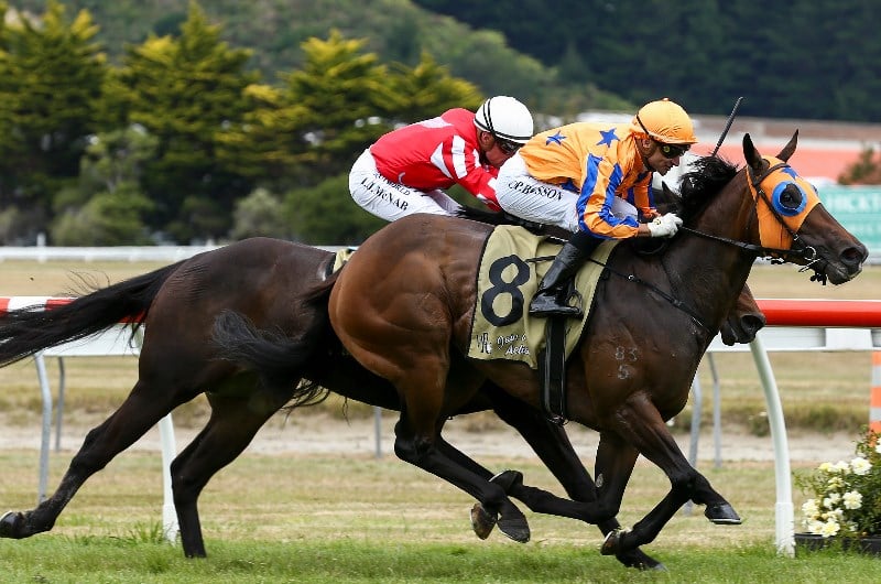 Telegraph Handicap Tips