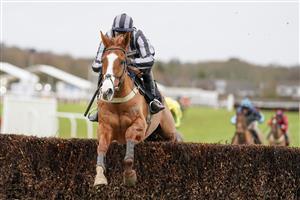 PLUMPTON, ENGLAND - JANUARY 13: Niall Houlihan riding High Up In The Air clear the last to win The tote.co.uk Handicap Chase at Plumpton Racecourse on January 13, 2021 in Plumpton, England. Due to the Coronavirus pandemic, owners along with the paying public will not be allowed to attend the meeting. (Photo by Alan Crowhurst/Getty Images)