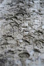 PLUMPTON, ENGLAND - JANUARY 13: Hoof prints on a wet and muddy day at Plumpton Racecourse on January 13, 2021 in Plumpton, England. Due to the Coronavirus pandemic, owners along with the paying public will not be allowed to attend the meeting. (Photo by Alan Crowhurst/Getty Images)
