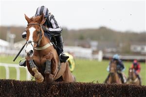 PLUMPTON, ENGLAND - JANUARY 13: Niall Houlihan riding High Up In The Air clear the last to win The tote.co.uk Handicap Chase at Plumpton Racecourse on January 13, 2021 in Plumpton, England. Due to the Coronavirus pandemic, owners along with the paying public will not be allowed to attend the meeting. (Photo by Alan Crowhurst/Getty Images)