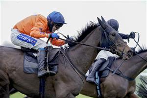 PLUMPTON, ENGLAND - JANUARY 13: Tom Scudamore riding Gericault Roque (orange) clear the last to win The Sky Sports Racing Maiden Hurdle (GBB Race) (Div 1) at Plumpton Racecourse on January 13, 2021 in Plumpton, England. Due to the Coronavirus pandemic, owners along with the paying public will not be allowed to attend the meeting. (Photo by Alan Crowhurst/Getty Images)