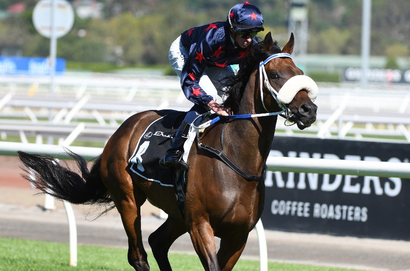 Flemington Betting Tips
