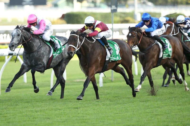 Gosford tips for 15.01.2021