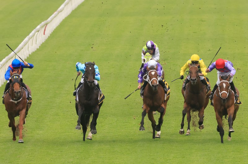 Rosehill tios for 16.01.2021