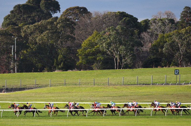 Wangaratta Betting Tips