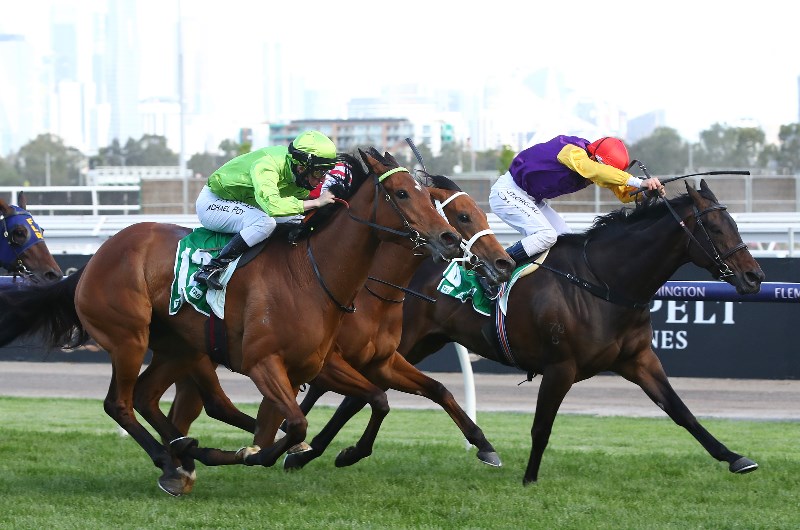 Weekend Racing Multi