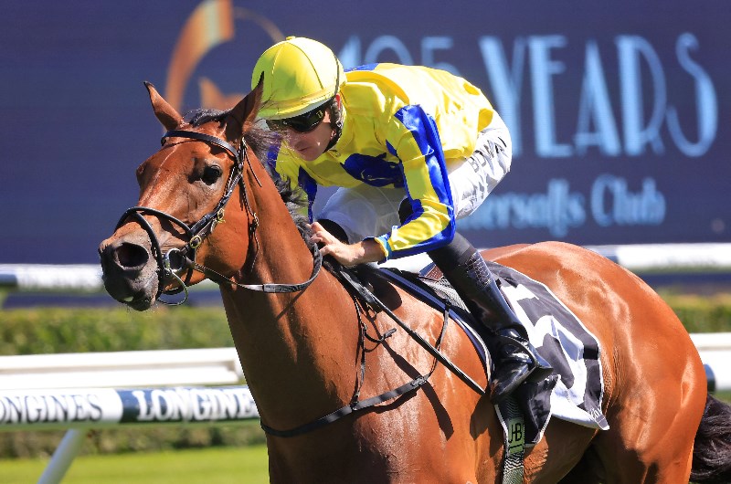 Big Bets for 16.01.2021