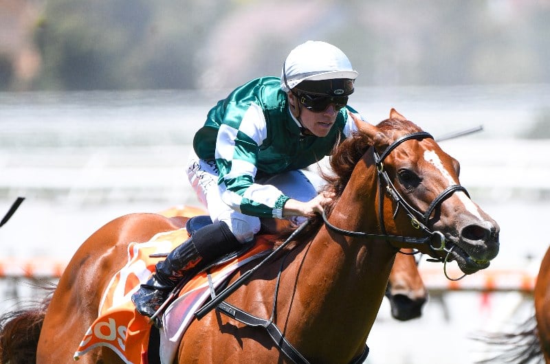 Will Price Megabet