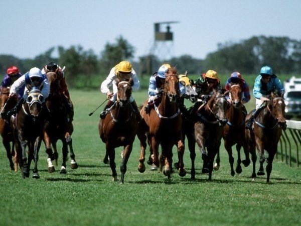 murray bridge tips for 23.05.2020