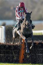 WARWICK, ENGLAND - JANUARY 16: Aidan Coleman riding Will Sting clear the last to win The Pertemps Network Novices' Handicap Hurdle at Warwick Racecourse on January 16, 2021 in Warwick, England. Due to the Coronavirus pandemic, owners along with the paying public will not be allowed to attend the meeting. (Photo by Alan Crowhurst/Getty Images)