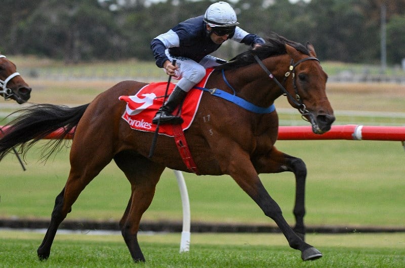Benalla Betting Tips
