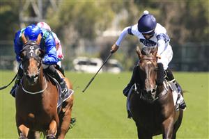 SYDNEY, AUSTRALIA - JANUARY 16: Rachel King on Harpo Marx wins race 4 the Precise Air Handicap during Sydney Racing at Rosehill Gardens on January 16, 2021 in Sydney, Australia. (Photo by Mark Evans/Getty Images)