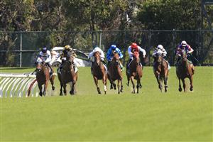 SYDNEY, AUSTRALIA - JANUARY 16: Robbie Dolan on Above And Beyond (R) rounds the turn to win race 6 the TAB Handicap during Sydney Racing at Rosehill Gardens on January 16, 2021 in Sydney, Australia. (Photo by Mark Evans/Getty Images)