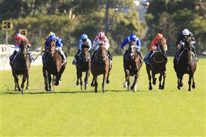 SYDNEY, AUSTRALIA - JANUARY 16: Louise Day on Lillemor (L) wins race 8 the Iron Jack Handicap during Sydney Racing at Rosehill Gardens on January 16, 2021 in Sydney, Australia. (Photo by Mark Evans/Getty Images)
