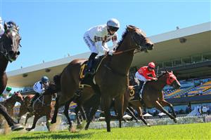 SYDNEY, AUSTRALIA - JANUARY 16: Kathy O'Hara on Counte De Rupee wins Race 5 the Schweppes Handicap during Sydney Racing at Rosehill Gardnes on January 16, 2020. (Getty)