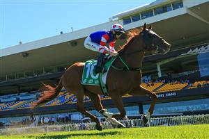 SYDNEY, AUSTRALIA - JANUARY 16: Robbie Dolan on Above And Beyond wins race 6 the TAB Handicap during Sydney Racing at Rosehill Gardens on January 16, 2021 in Sydney, Australia. (Photo by Mark Evans/Getty Images)