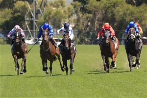 SYDNEY, AUSTRALIA - JANUARY 16: Rachel King on Harpo Marx wins race 4 the Precise Air Handicap during Sydney Racing at Rosehill Gardens on January 16, 2021 in Sydney, Australia. (Photo by Mark Evans/Getty Images)