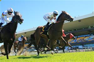 SYDNEY, AUSTRALIA - JANUARY 16: Kathy O'Hara on Counte De Rupee wins Race 5 the Schweppes Handicap during Sydney Racing at Rosehill Gardnes on January 16, 2020. (Getty)