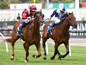 MELBOURNE, AUSTRALIA - JANUARY 16: Damian Lane riding Over Exposure to win race 5, the Furphy Refreshing Ale Trophy, during Melbourne Racing at Flemington Racecourse on January 16, 2021 in Melbourne, Australia. (Photo by Vince Caligiuri/Getty Images)