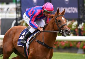 MELBOURNE, AUSTRALIA - JANUARY 16: Damien Oliver riding Absolute Flirt wins Race 3, the Polytrack Handicap, during Melbourne Racing at Flemington Racecourse on January 16, 2021 in Melbourne, Australia. (Photo by Vince Caligiuri/Getty Images)