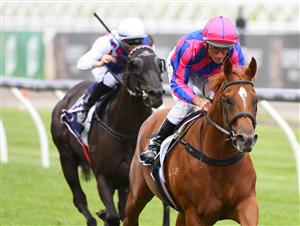 MELBOURNE, AUSTRALIA - JANUARY 16: Damien Oliver riding Absolute Flirt wins Race 3, the Polytrack Handicap, during Melbourne Racing at Flemington Racecourse on January 16, 2021 in Melbourne, Australia. (Photo by Vince Caligiuri/Getty Images)