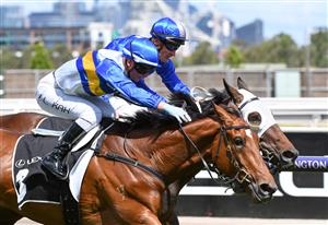MELBOURNE, AUSTRALIA - JANUARY 16: Jamie Kah riding Liqueuro wins Race 4, the Lexus Summer Event Trophy, during Melbourne Racing at Flemington Racecourse on January 16, 2021 in Melbourne, Australia. (Photo by Vince Caligiuri/Getty Images)