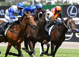 MELBOURNE, AUSTRALIA - JANUARY 16: Jamie Kah riding Liqueuro wins Race 4, the Lexus Summer Event Trophy, during Melbourne Racing at Flemington Racecourse on January 16, 2021 in Melbourne, Australia. (Photo by Vince Caligiuri/Getty Images)
