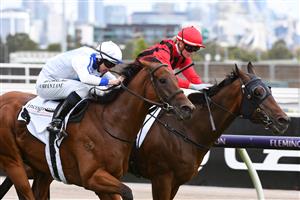 MELBOURNE, AUSTRALIA - JANUARY 16: Damian Lane riding Viral defeats Jamie Kah riding Rule The World (r) in race 6, the Incognitus Plate, during Melbourne Racing at Flemington Racecourse on January 16, 2021 in Melbourne, Australia. (Photo by Vince Caligiuri/Getty Images)