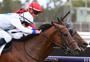 MELBOURNE, AUSTRALIA - JANUARY 16: Damian Lane riding Viral defeats Jamie Kah riding Rule The World (r) in race 6, the Incognitus Plate, during Melbourne Racing at Flemington Racecourse on January 16, 2021 in Melbourne, Australia. (Photo by Vince Caligiuri/Getty Images)