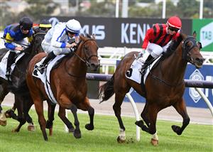 MELBOURNE, AUSTRALIA - JANUARY 16: Damian Lane riding Viral defeats Jamie Kah riding Rule The World (r) in race 6, the Incognitus Plate, during Melbourne Racing at Flemington Racecourse on January 16, 2021 in Melbourne, Australia. (Photo by Vince Caligiuri/Getty Images)