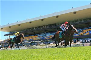 SYDNEY, AUSTRALIA - JANUARY 16: Kerrin McEvoy on Banger wins race 3 the TAB Highway Class 3 Handicap during Sydney Racing at Rosehill Gardens on January 16, 2021 in Sydney, Australia. (Photo by Mark Evans/Getty Images)