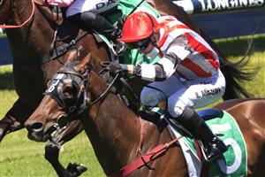 SYDNEY, AUSTRALIA - JANUARY 16: Kerrin McEvoy on Banger wins race 3 the TAB Highway Class 3 Handicap during Sydney Racing at Rosehill Gardens on January 16, 2021 in Sydney, Australia. (Photo by Mark Evans/Getty Images)