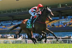 SYDNEY, AUSTRALIA - JANUARY 16: Kerrin McEvoy on Banger wins race 3 the TAB Highway Class 3 Handicap during Sydney Racing at Rosehill Gardens on January 16, 2021 in Sydney, Australia. (Photo by Mark Evans/Getty Images)