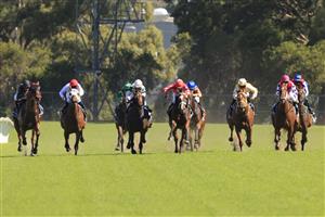 SYDNEY, AUSTRALIA - JANUARY 16: Kerrin McEvoy on Tycoonist wins race 7 the Ranvet Handicap during Sydney Racing at Rosehill Gardens on January 16, 2021 in Sydney, Australia. (Photo by Mark Evans/Getty Images)