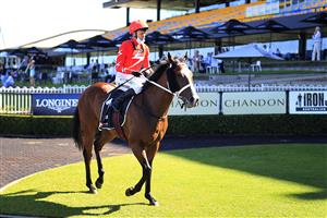 SYDNEY, AUSTRALIA - JANUARY 16: Kerrin McEvoy on Tycoonist returns to scale after winning race 7 the Ranvet Handicap during Sydney Racing at Rosehill Gardens on January 16, 2021 in Sydney, Australia. (Photo by Mark Evans/Getty Images)