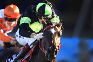 SYDNEY, AUSTRALIA - JANUARY 16: Regan Bayliss on Private Eye wins race 9 the Rosehill Bowling Club Handicap during Sydney Racing at Rosehill Gardens on January 16, 2021 in Sydney, Australia. (Photo by Mark Evans/Getty Images)