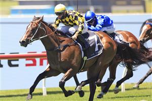 SYDNEY, AUSTRALIA - JANUARY 16: Tommy Berry on Remarque wins race 1 the Agency Real Estate Handicap during Sydney Racing at Rosehill Gardens on January 16, 2021 in Sydney, Australia. (Photo by Mark Evans/Getty Images)
