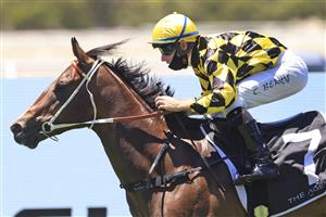 SYDNEY, AUSTRALIA - JANUARY 16: Tommy Berry on Remarque wins race 1 the Agency Real Estate Handicap during Sydney Racing at Rosehill Gardens on January 16, 2021 in Sydney, Australia. (Photo by Mark Evans/Getty Images)